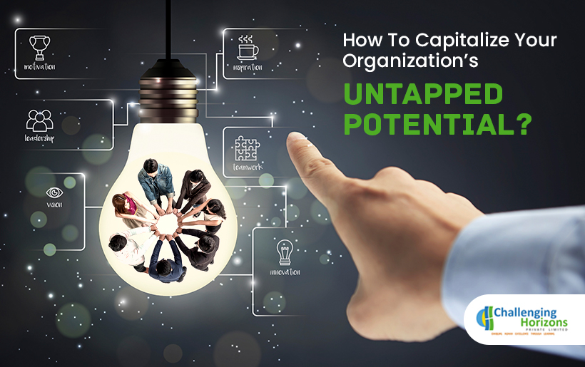 Read more about the article How To Capitalize Your Organization’s Untapped Potential?